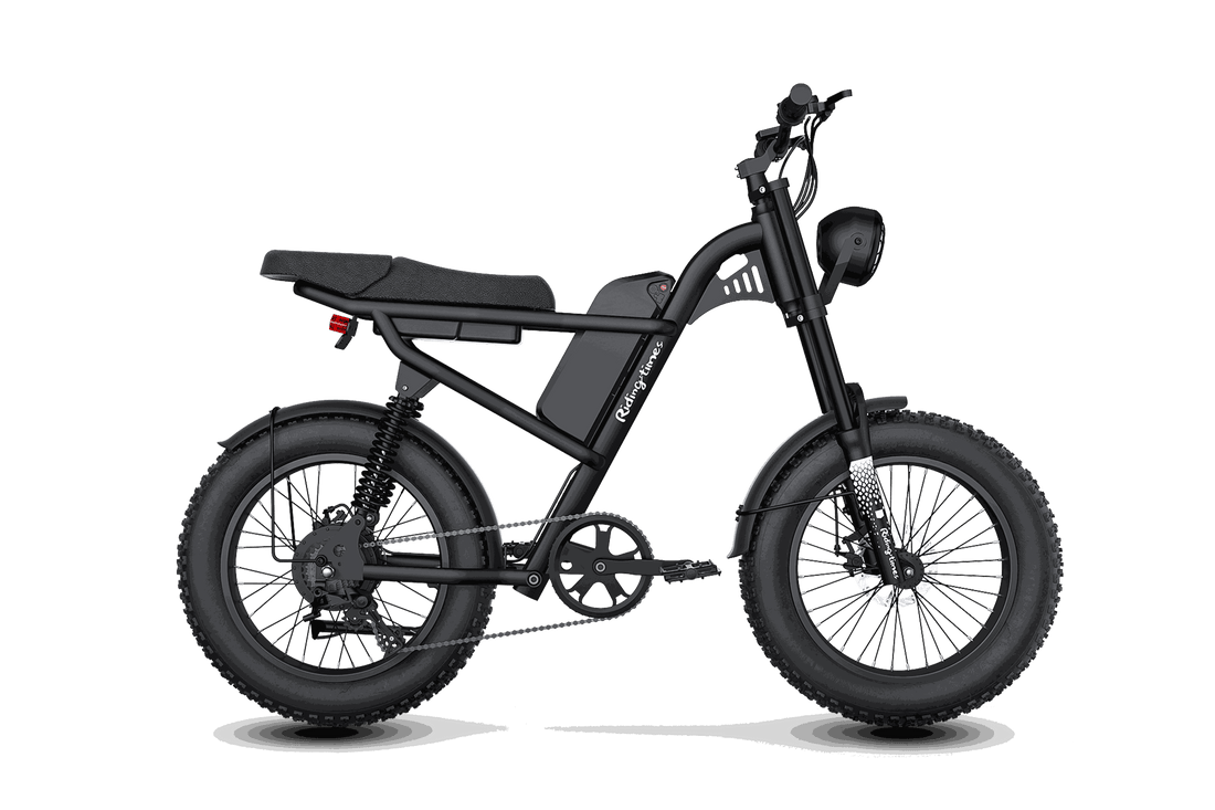 Z8 Moped-Style Electric Bike Pro