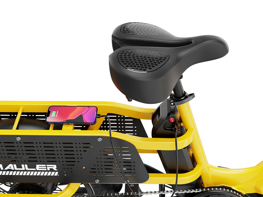 Heybike Hauler