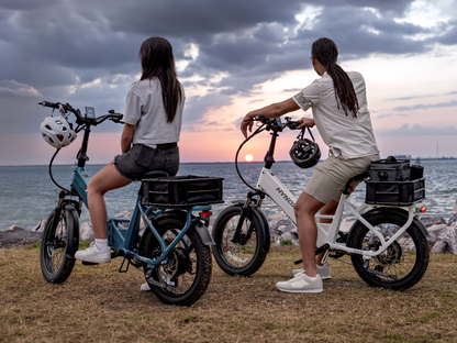 FLEX   Ebike