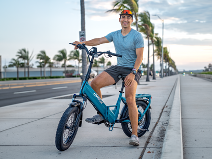 FLEX   Ebike