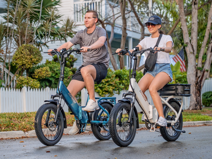 FLEX   Ebike