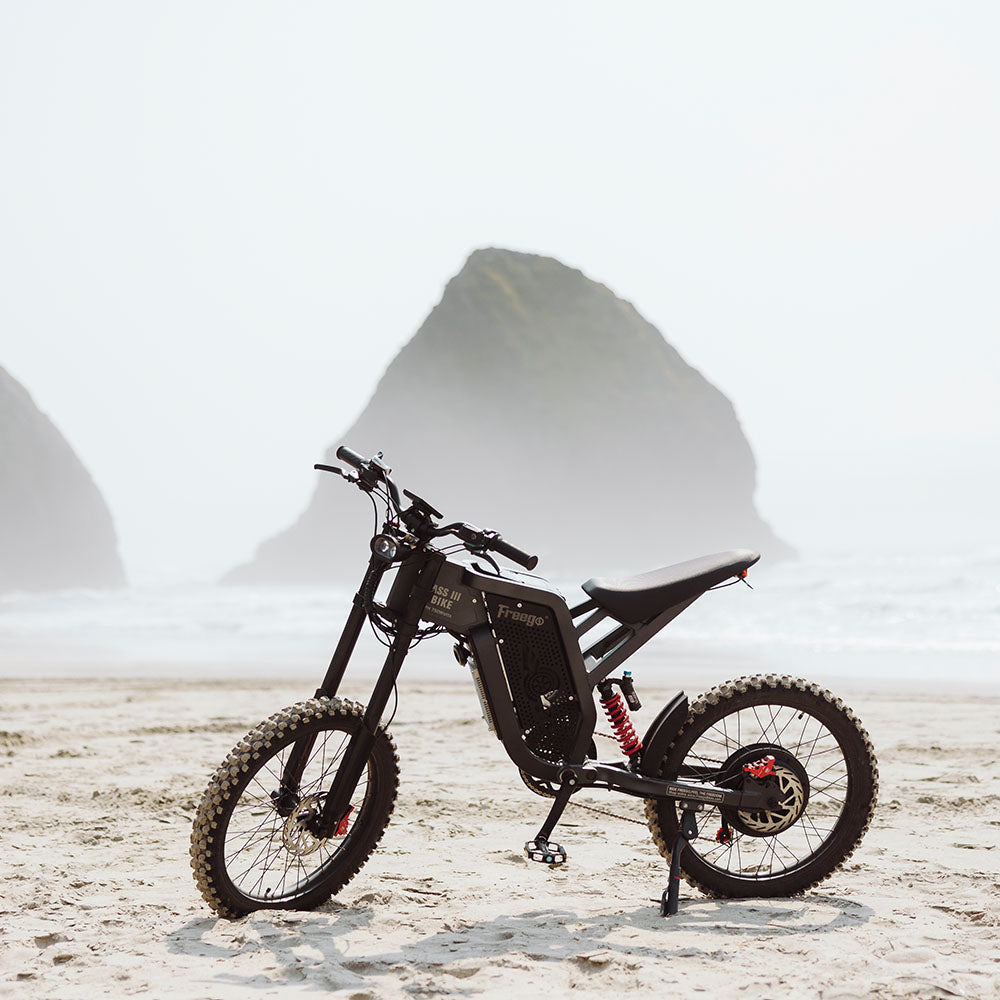 Freego X2 Pro Electric Dirt Bike