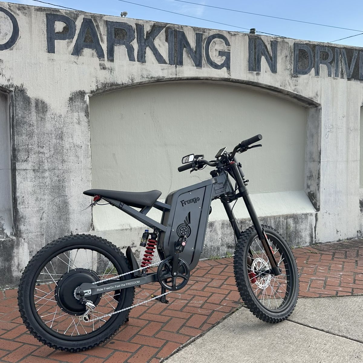 Freego X2 Pro Electric Dirt Bike