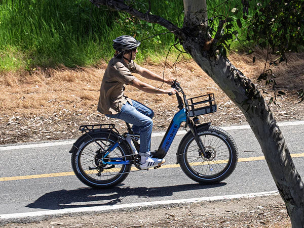 Heybike Horizon