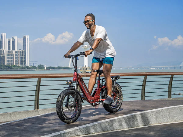 Heybike Ranger 3.0 Pro
