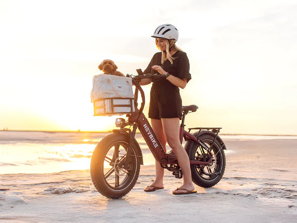 Heybike Ranger S
