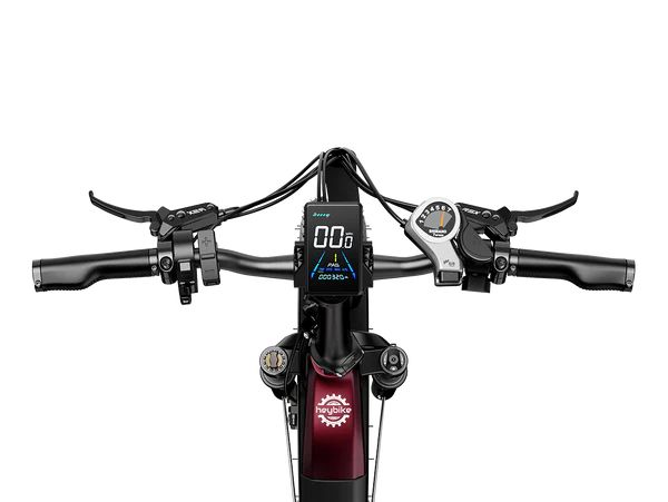 Heybike Ranger S