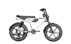 Heybike Titan