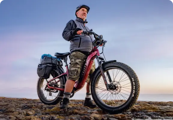 Velotric Fold 1 Electric Bike