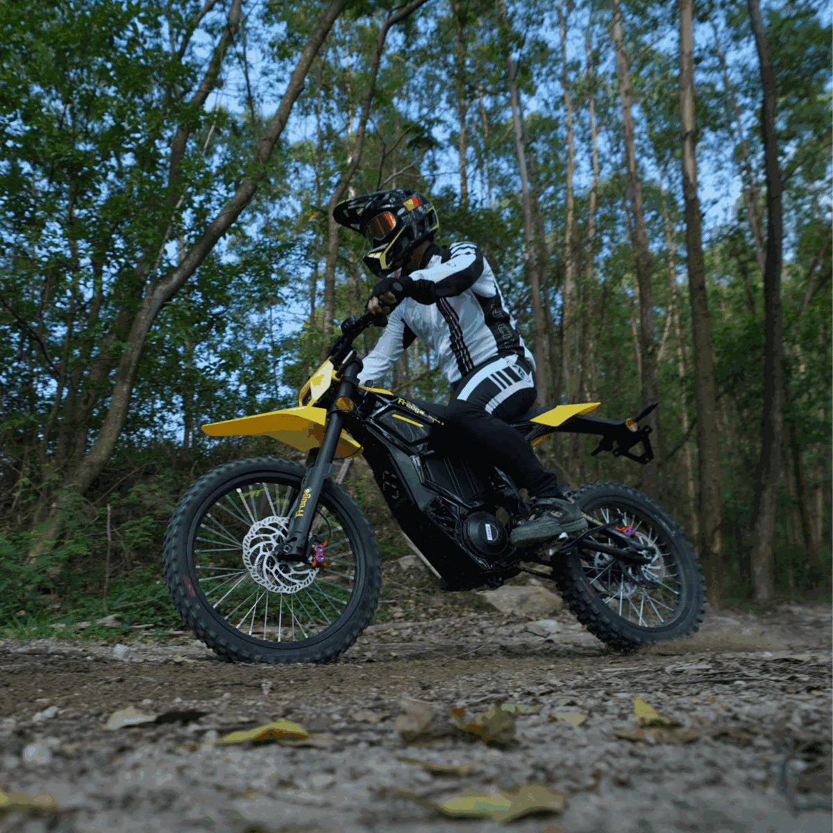 Freego Nova 5 Electrci Dirt Bike