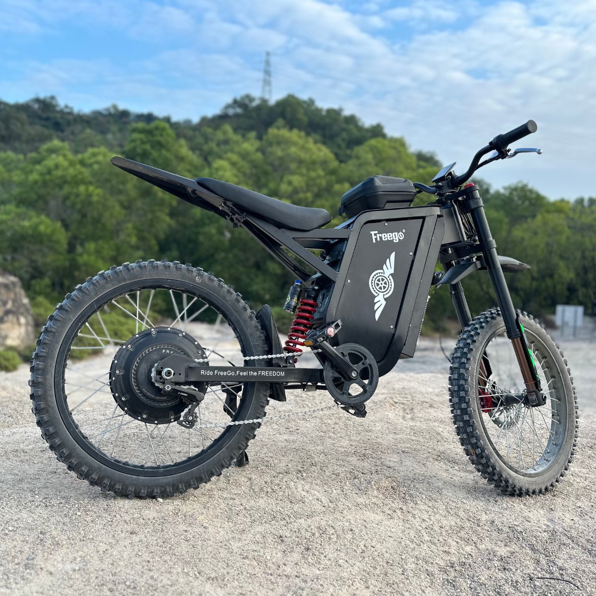 Freego X3 All-Terrain Electric Dirt Bike