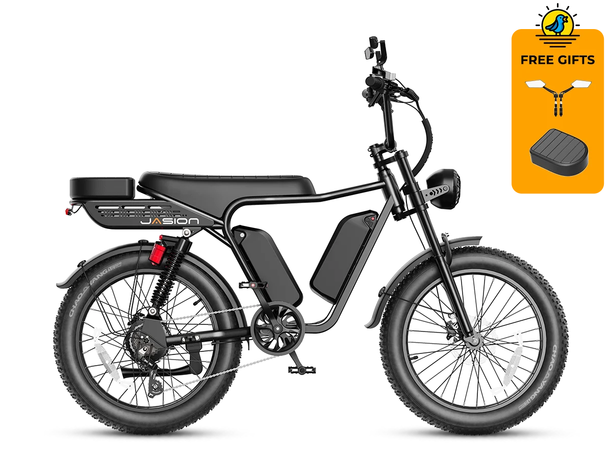 Jasion RetroVolt Max Ebike