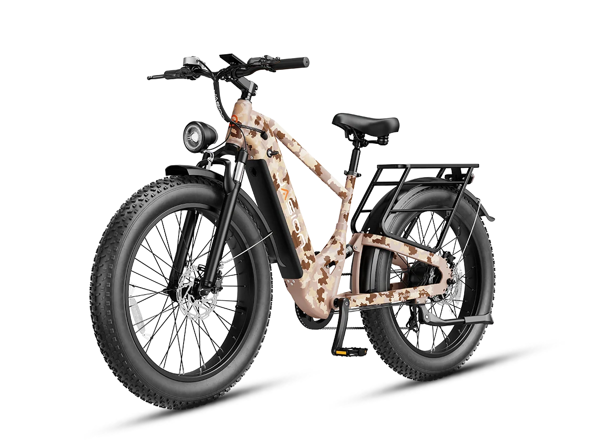 Jasion Thunder Pro Ebike