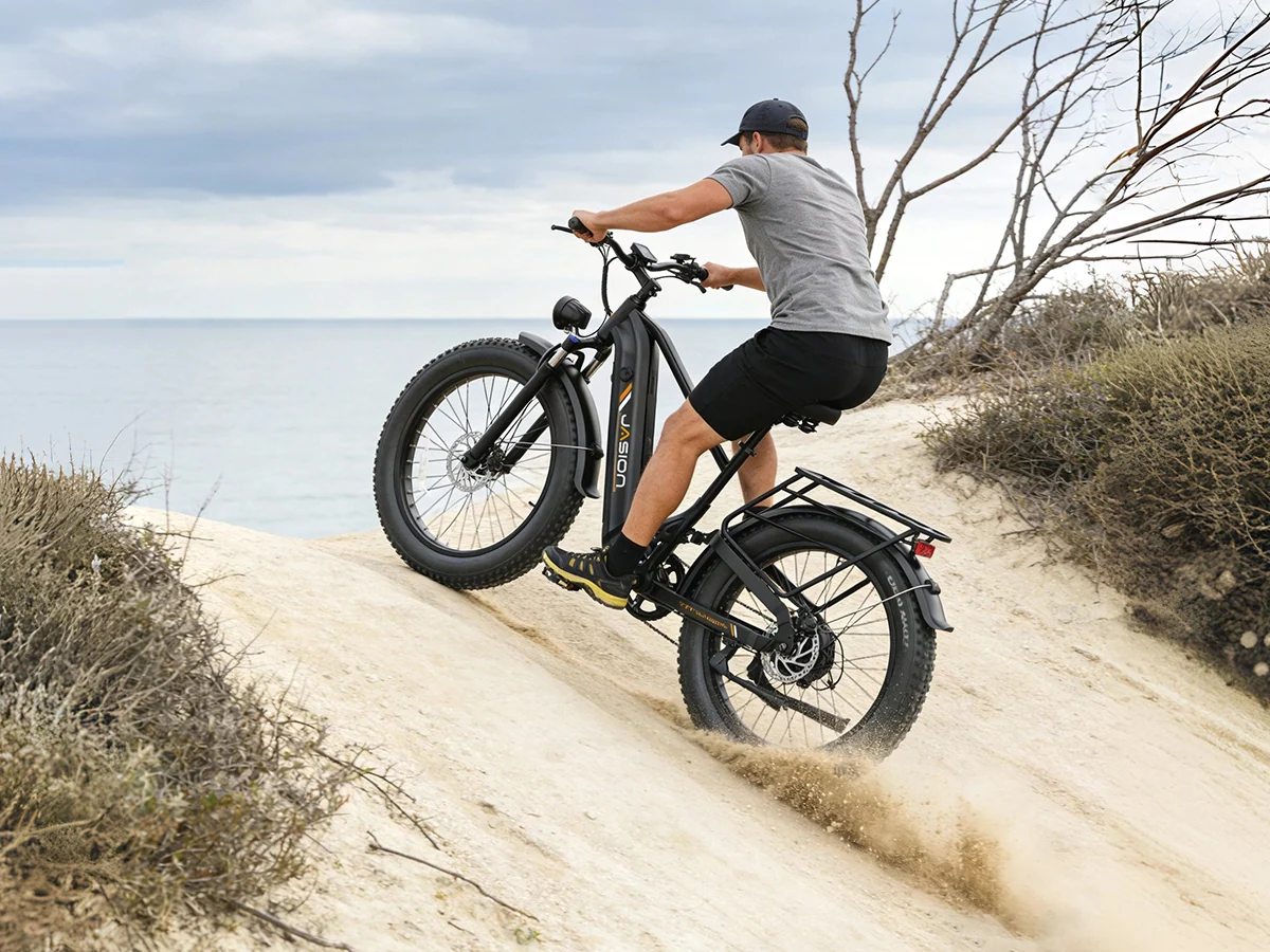 Jasion Thunder Pro Ebike