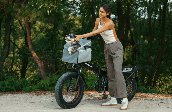 Pet Bike Basket in gray durable fabric with mesh panels and shrink rope design carrying a small dog on black mountain bike outdoors