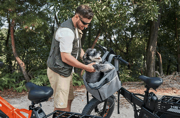Pet Bike Basket in grey fabric with mesh panels securely carrying a small black-and-white dog on a black bike outdoors