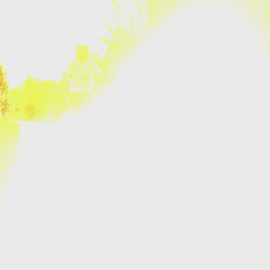 Apollo Go