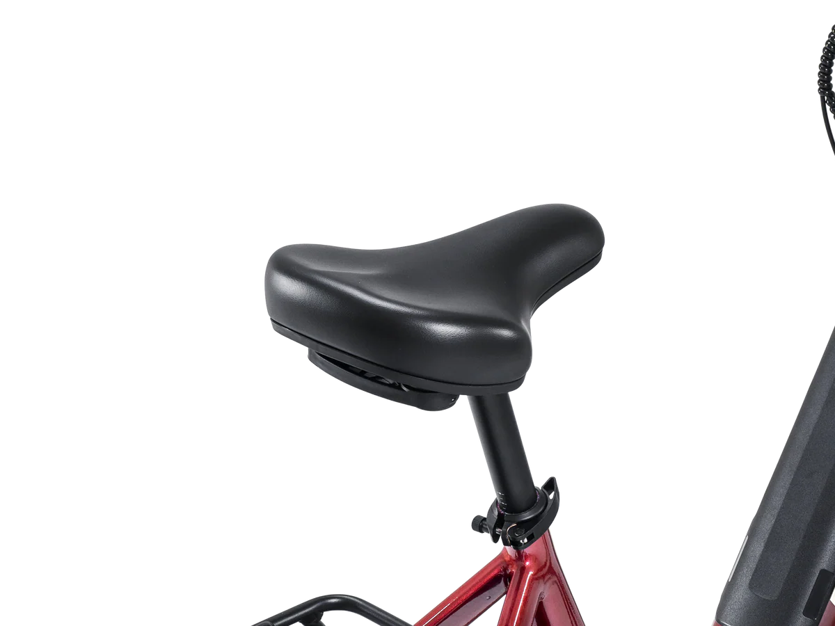 TROOPER Ebike